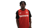 Bayer Leverkusen Sticker by Bundesliga