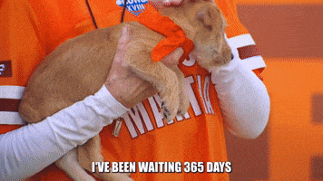 I've Been Waiting 365 For This Rematch