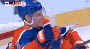 Stanley Cup Playoffs Hockey GIF by NHL