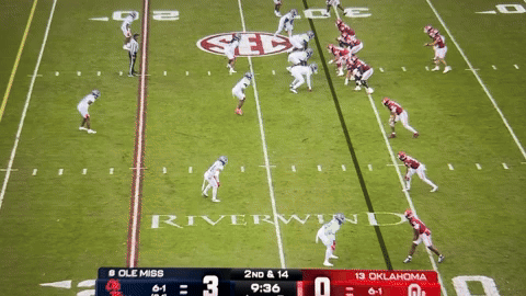 BreinVid giphyupload GIF