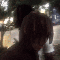 Wyo GIF