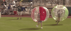 Awesome Fight GIF by Fort Wayne TinCaps
