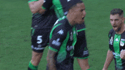 Happy A-League GIF by Western United Football Club