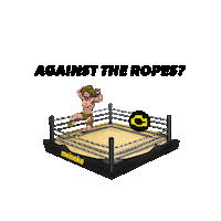 MeinekeCarCare car wwe wrestling wrestlemania Sticker