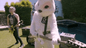 Music Video Rabbit GIF by The Dollyrots