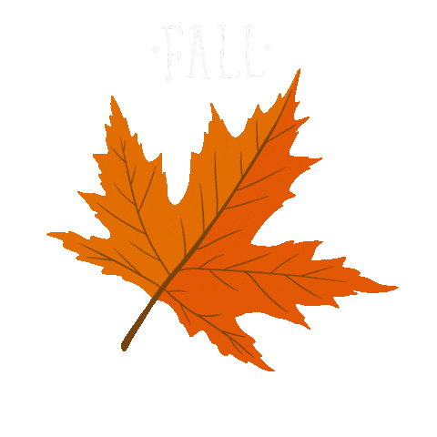 Itismeshannonlee giphyupload halloween fall earth Sticker