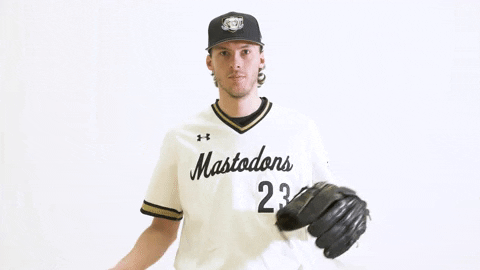 Ncaa Baseball Celebration GIF by Purdue Fort Wayne Athletics