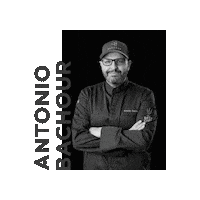 Paloma Finesse Sticker by palomahotels