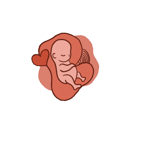 annepires giphyupload baby bebe gestante Sticker