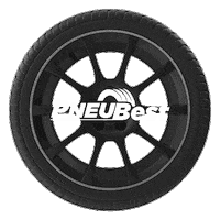 Pneubest car speed race ecommerce Sticker