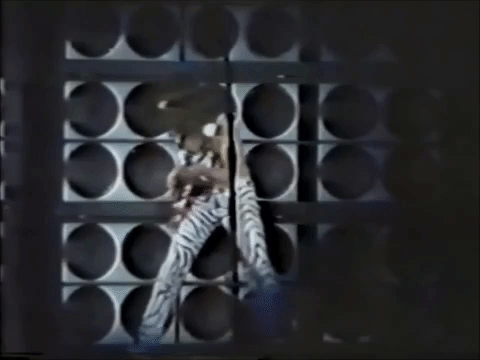 Van Halen GIF