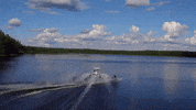 water skiing xyngular reviews GIF by Xyngular