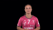 Hbf Metzingen GIF by Handball Bundesliga Frauen
