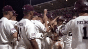 texas am win GIF by Texas A&M University
