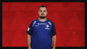 Sv Darmstadt 98 Football GIF by Bundesliga
