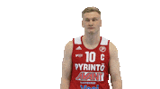 Basketball Hoops Sticker by Basket_fi