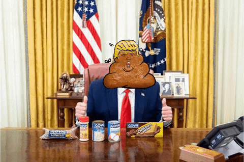 Donald Trump Goya GIF by NYSDESIGN