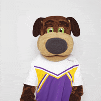 Uwsp GIF by UW-Stevens Point