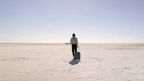 Road Trip Reaction GIF by Bay Ledges