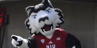 Point Niu GIF by Northern Illinois University