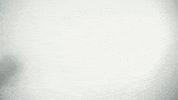 Support Carry GIF by Tickling Tentacles willhaben