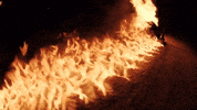 Swae Lee GIF by Rae Sremmurd