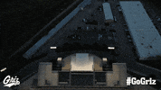Football Stadium GIF by Montana Grizzlies