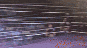 Wrestling Journey GIF