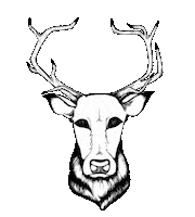buckshardgoods winking bucks buck bucks hard goods Sticker