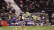NevadaWolfPack football nevada wolf pack unr GIF