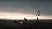 Happy Desert GIF by VVS FILMS