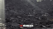foxnederland  GIF