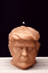 hotheadcandles trump donald trump candle burning GIF