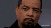 Law Order Squint GIF by PeacockTV