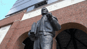 hawkeyes herky GIF by University of Iowa