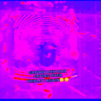 Kreekcraft Triple T GIF