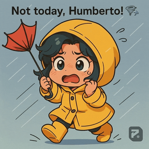 Wind Storm Hana GIF by Persona