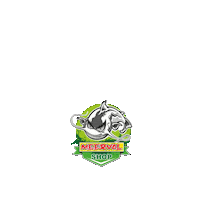 meervalshop blackcat waller silure meerval Sticker