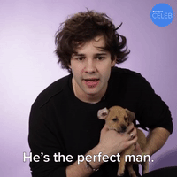 He's The Perfect Man