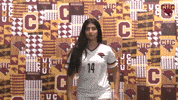 Cuc GIF by CUCougars