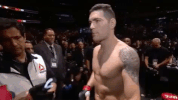 ufc 205 GIF