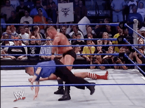 brock lesnar sport GIF by WWE