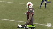 Arizona Cardinals Football GIF by NFL