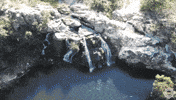 jaramaicatrips jara jaramaica jaramaicatrips GIF