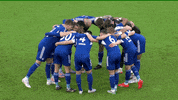 Football Soccer GIF by FC Schalke 04