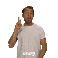 Hair Cutting Sticker by SWR3