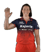 Happy Dance Sticker by Royal Challengers Bengaluru