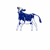 altadenadairy  GIF