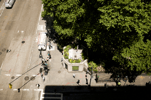 roadside attractions GIF