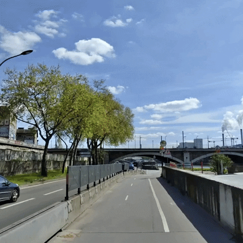 nicolellouche giphyupload GIF